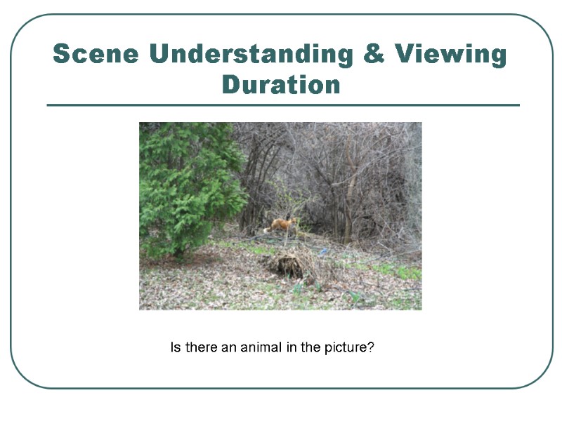 Scene Understanding & Viewing          Duration